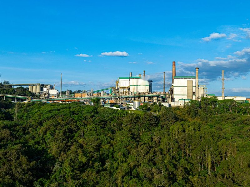 Forestal y celulosa